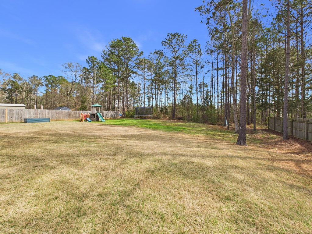 783 Sweetbay Parkway Hamilton, GA 31811 - Photo 41 of 46 BACK YARD