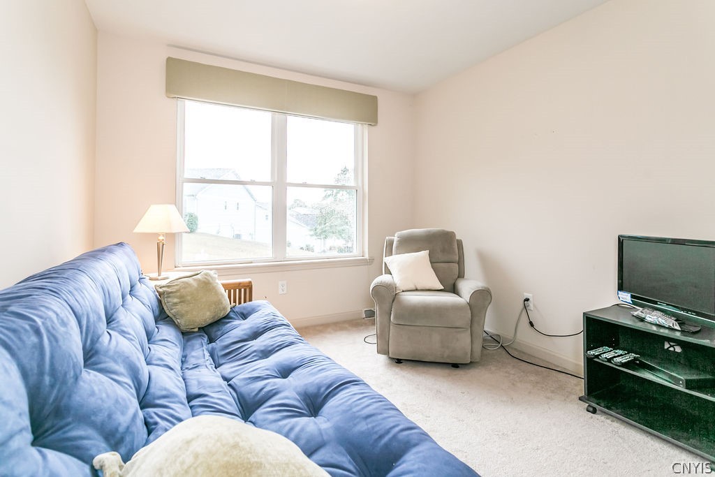 190 Timber Wolf Circle Geddes, NY 13209 - Photo 16 of 42