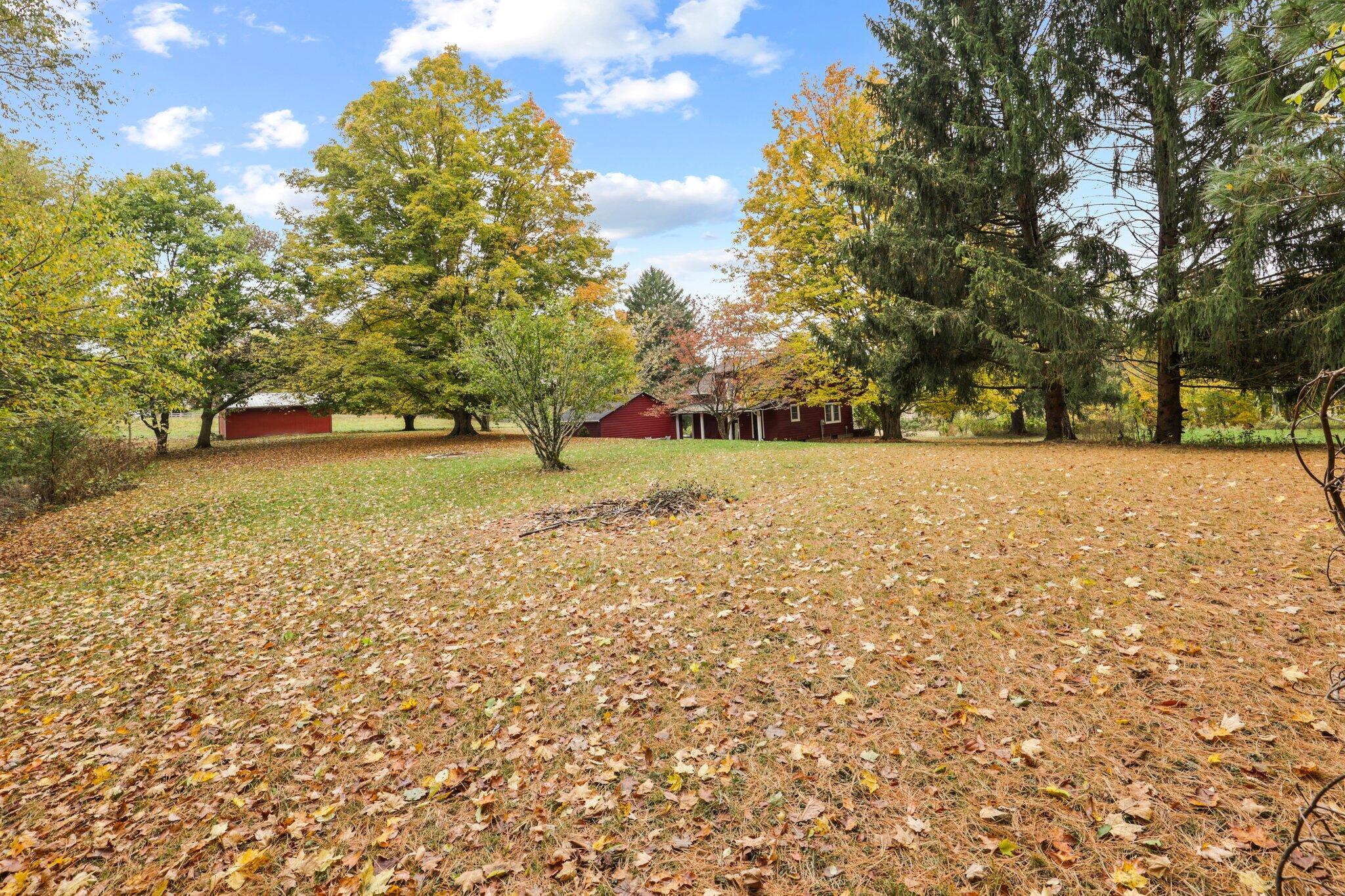 4160 Raccoon Valley Road Alexandria, OH 43001 - Photo 37 of 41 20-web-or-mls-0N4A0742
