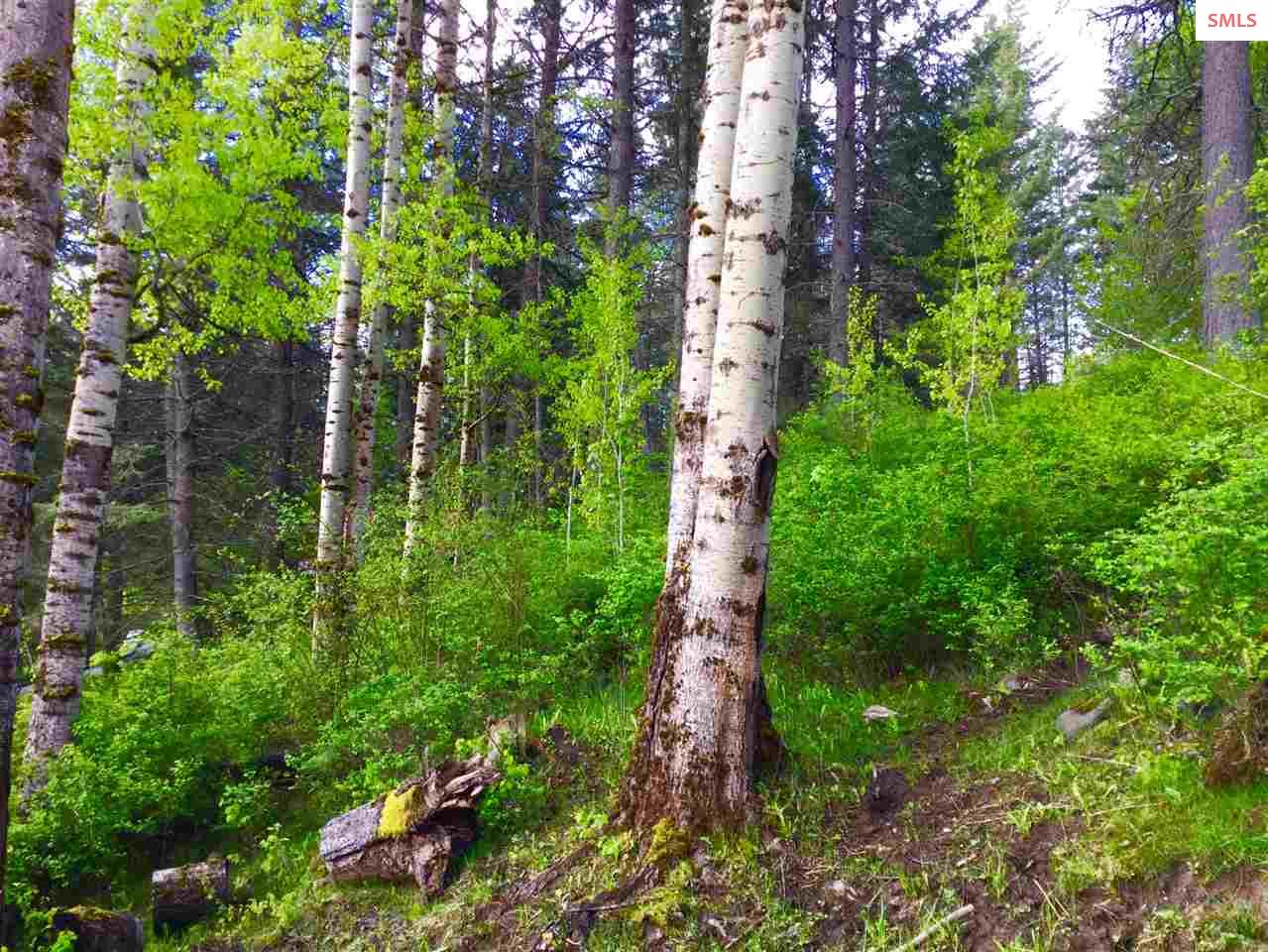 Nna Nna Road Sandpoint, ID 83864 - Photo 10 of 14