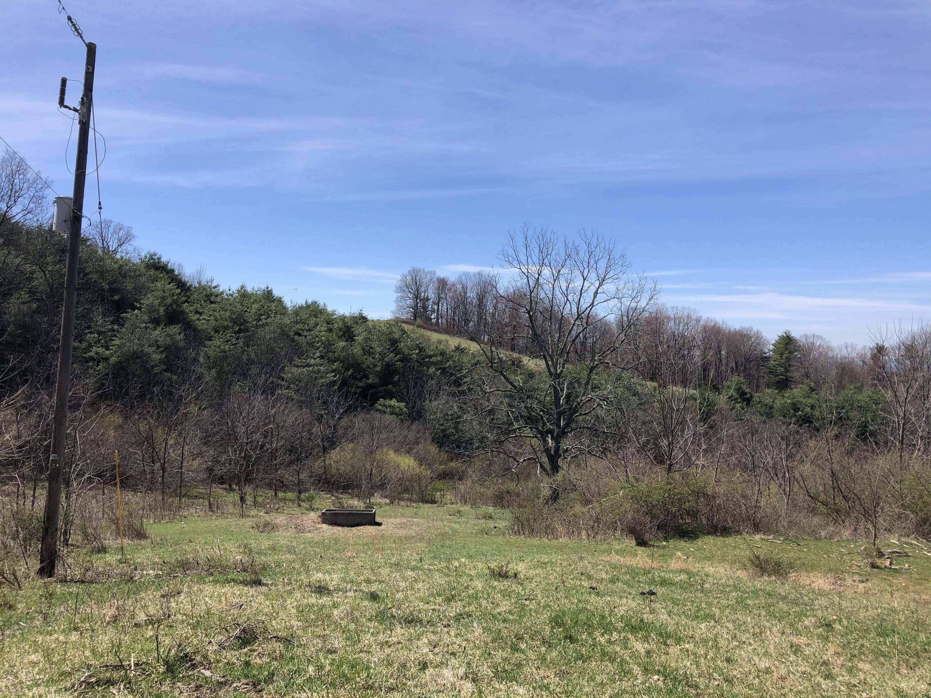 4668 Alum Ridge Road Northwest Riner, VA 24149 - Photo 14 of 22 a view of a dry yard with green space