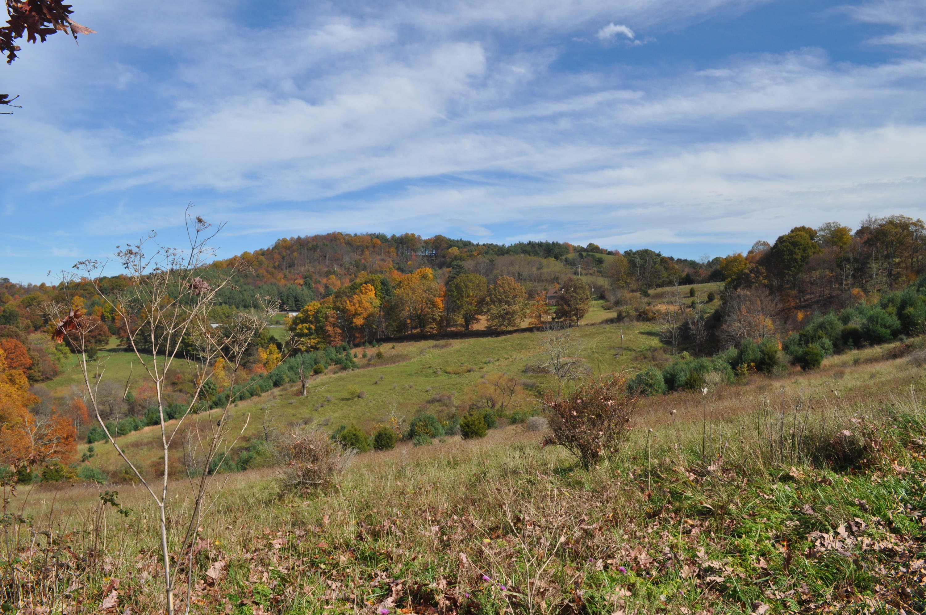 4668 Alum Ridge Road Northwest Riner, VA 24149 - Photo 8 of 22 a view of an outdoor space with mountain view