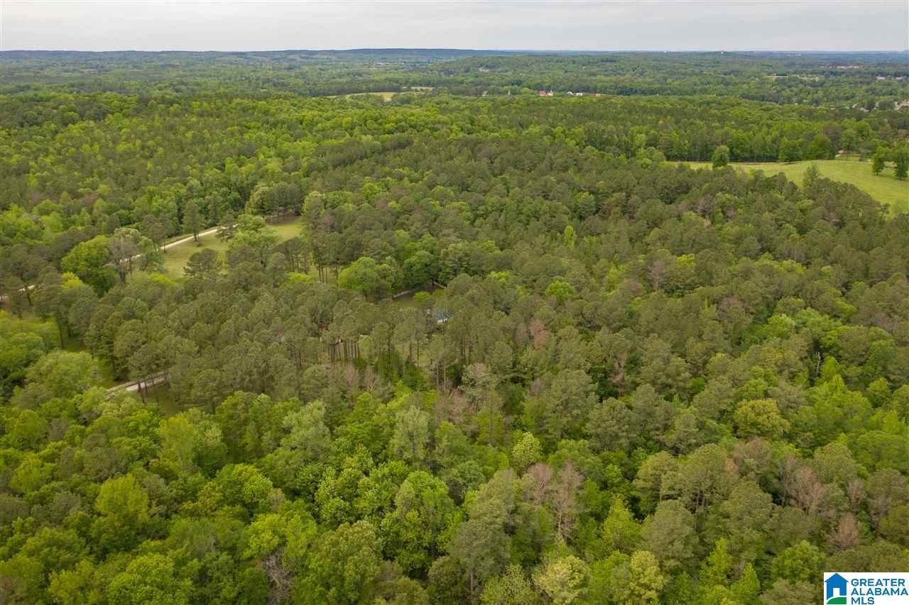 1239 Alex Mill Road Montevallo, AL 35115 - Photo 50 of 50