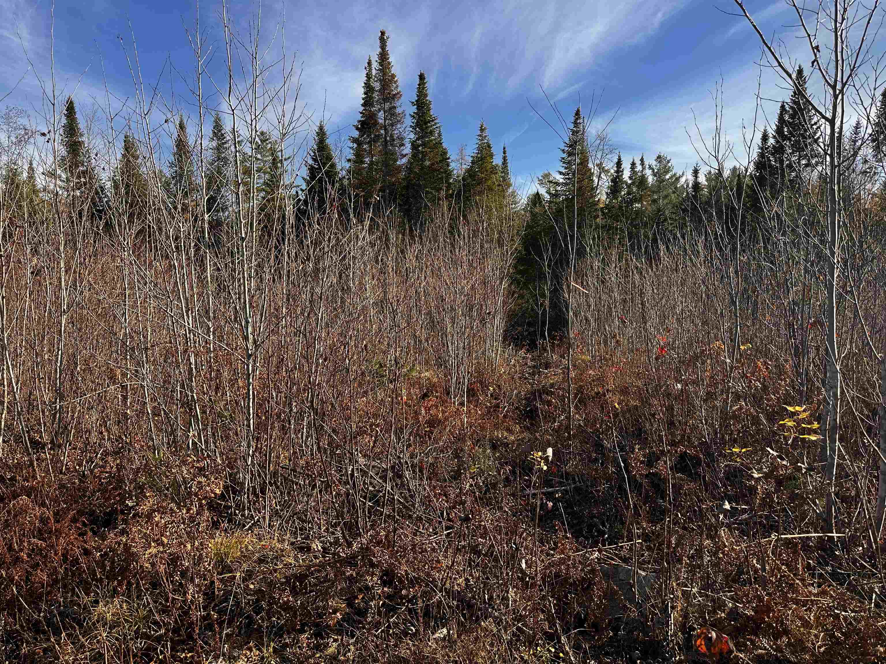Tbd Mcintyre Road, Unit 7 Dalton, NH 03598 - Photo 18 of 19