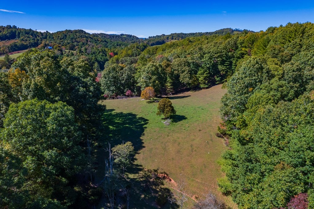 Tbd Gold Hill Road Independence, VA 24348 - Photo 20 of 21 Gallery Image 20