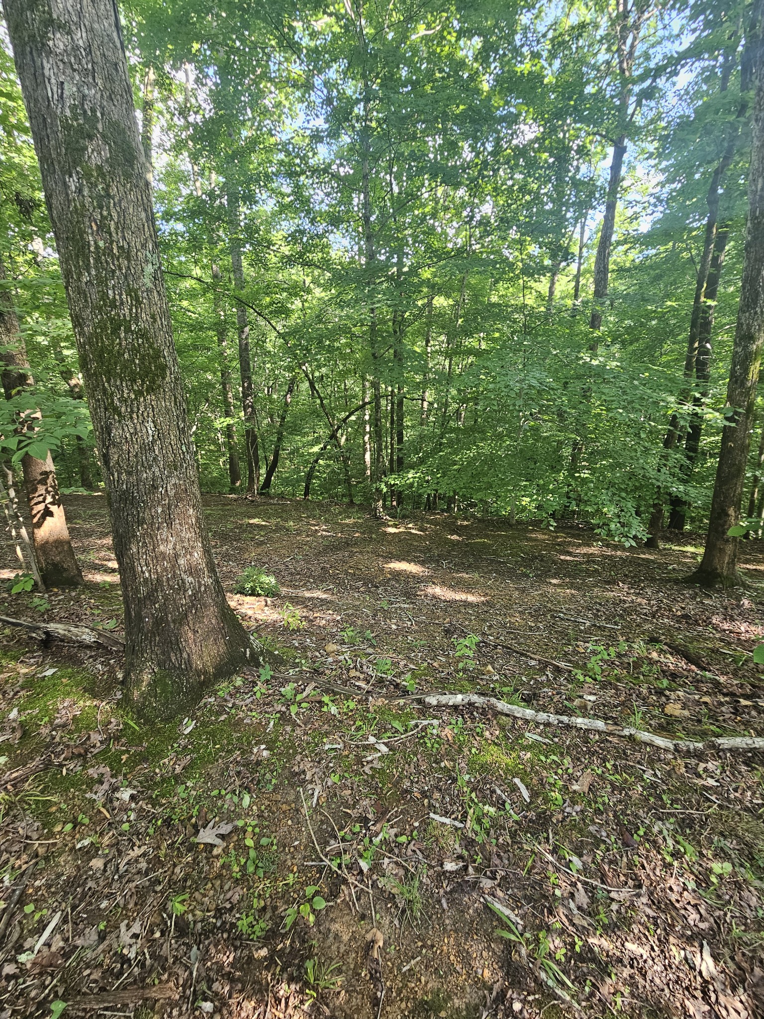 117 West Dell Road Dickson, TN 37055 - Photo 20 of 23