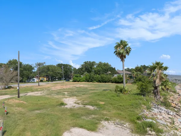 a view of a yard with a tree
