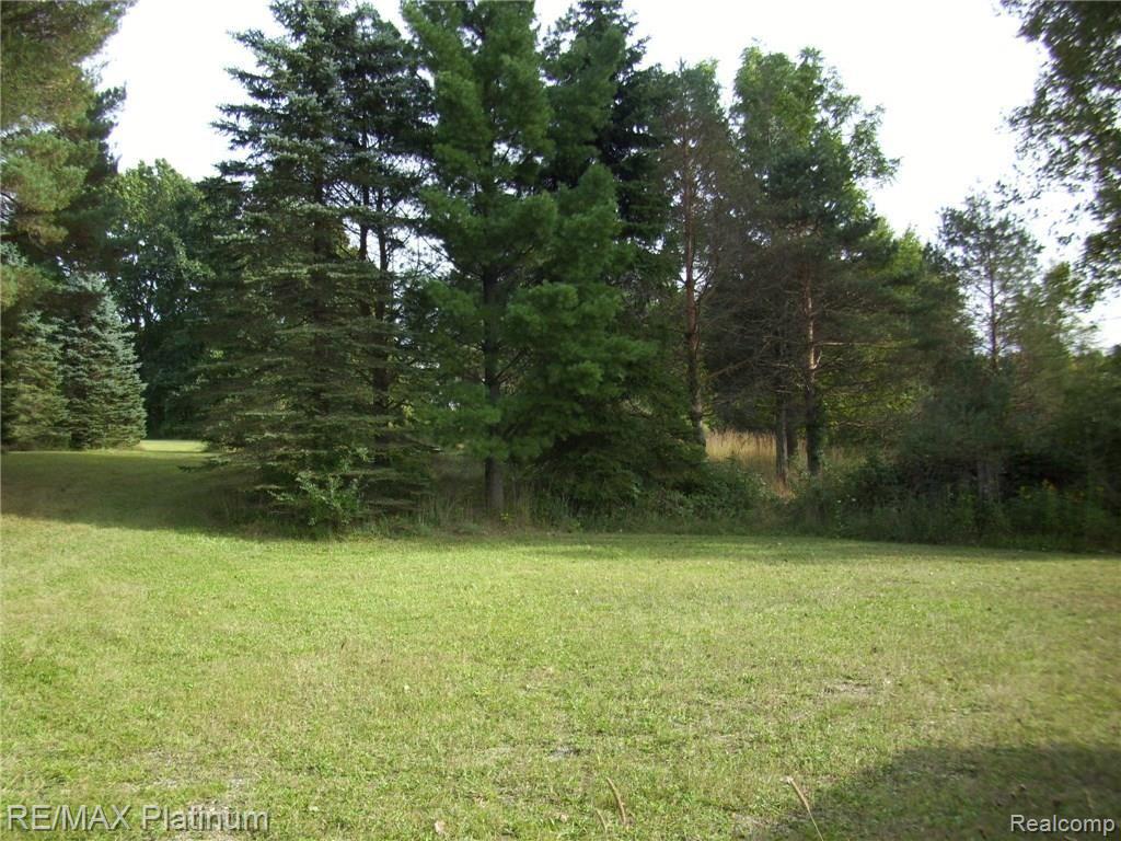 20469 Barton Road Pinckney, MI 48169 - Photo 4 of 15 GOOD HIGH HUNTING GROUND