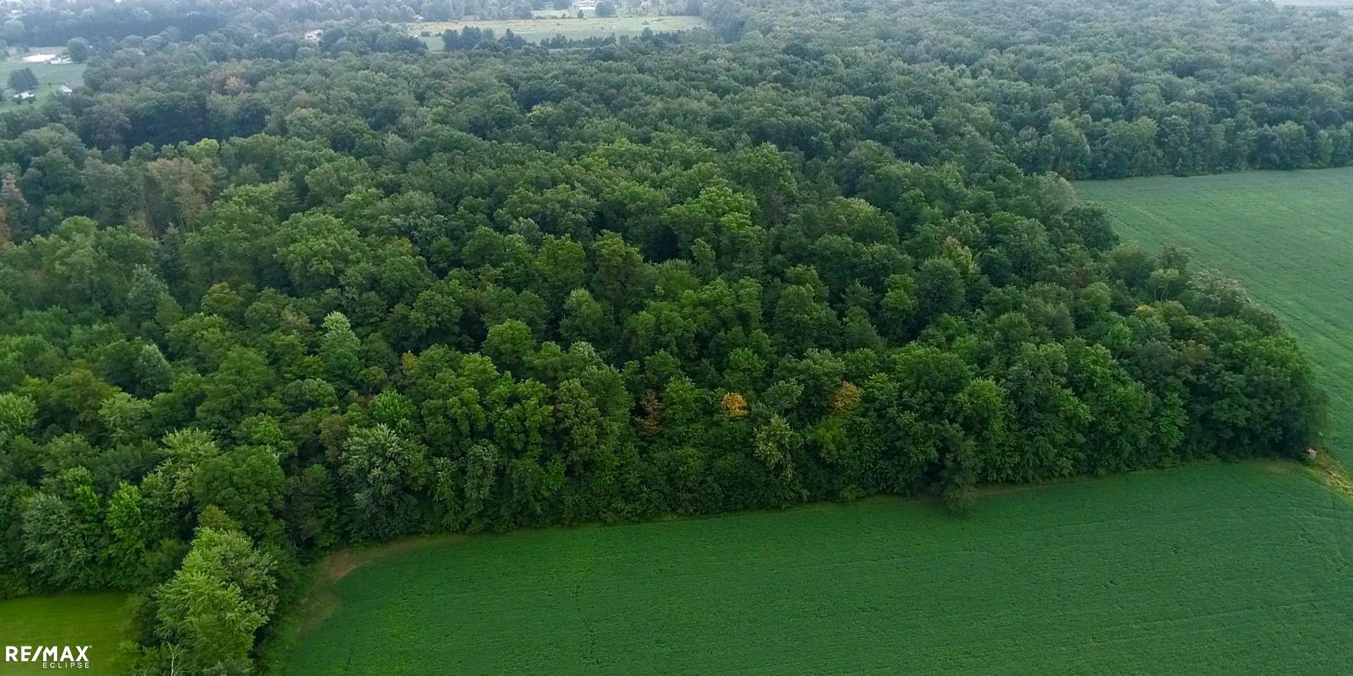 17410 Irwin Road Armada, MI 48005 - Photo 7 of 34