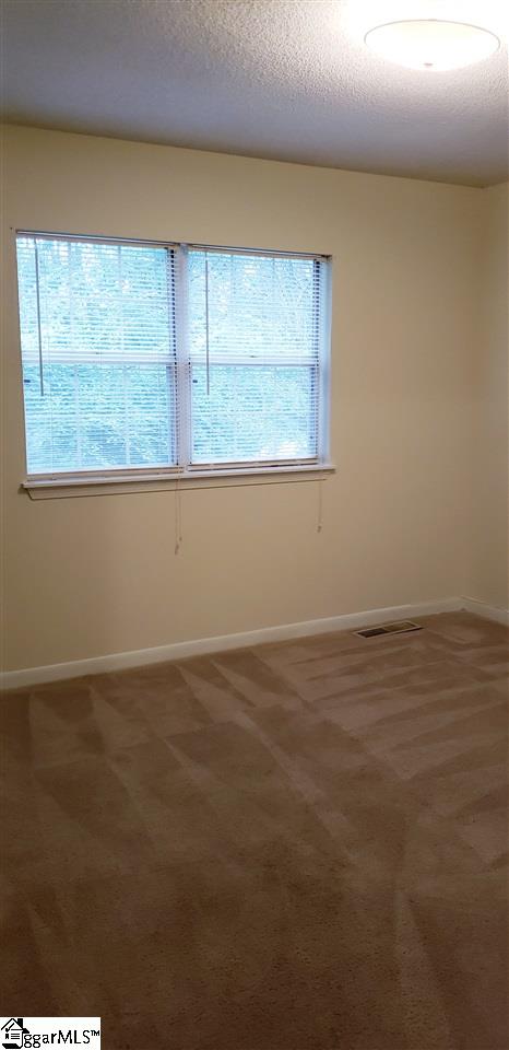 31 Pointer Lane, Unit (S A & B) Greenville, SC 29607 - Photo 18 of 29 Gallery Image 18