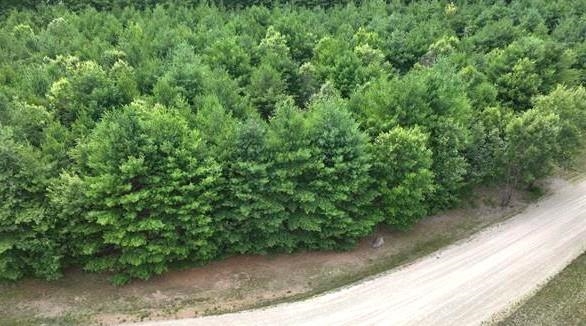 L16 Sandy Pines Court Redgranite, WI 54970 - Photo 2 of 2