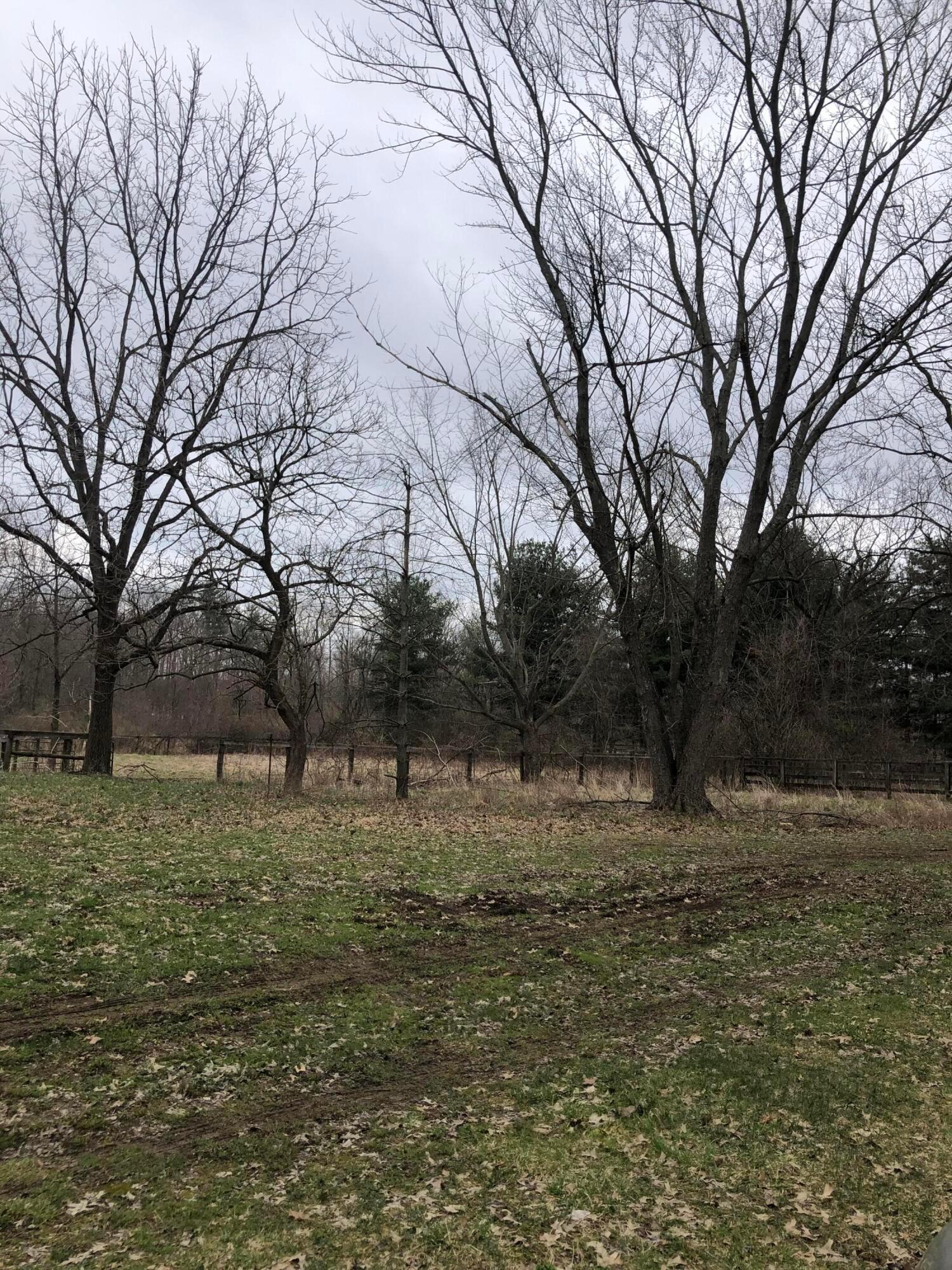 8500 McKitrick Road Plain City, OH 43064 - Photo 3 of 8 Land