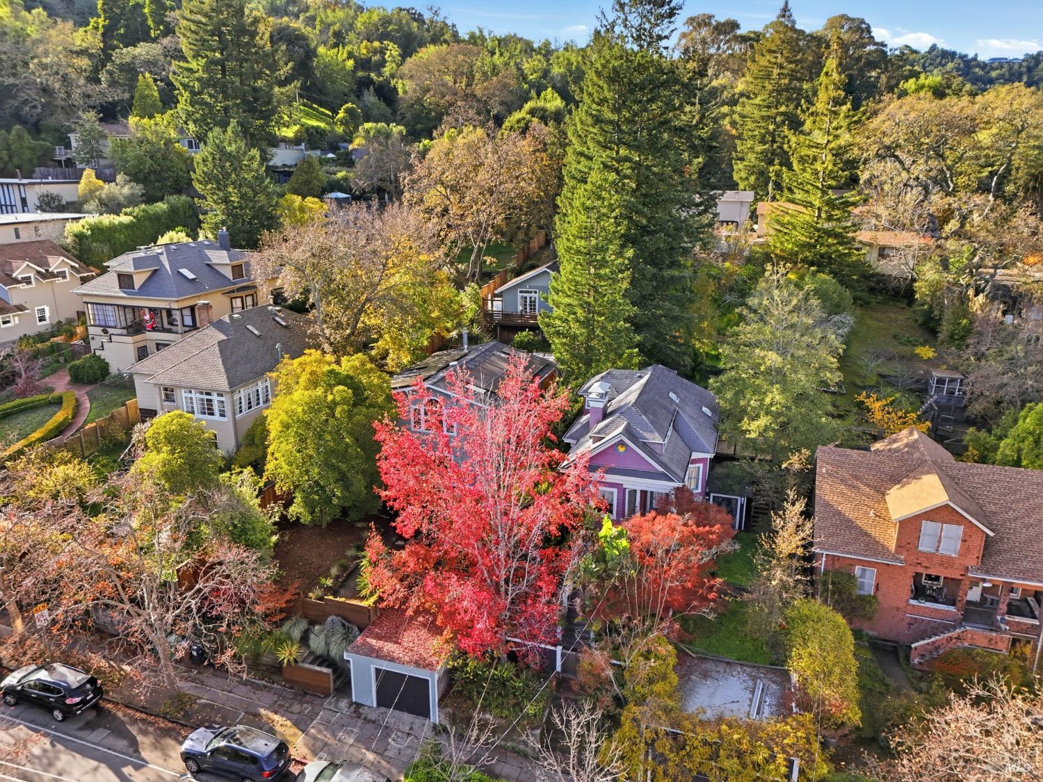 221 D Street San Rafael, CA 94901 - Photo 50 of 56