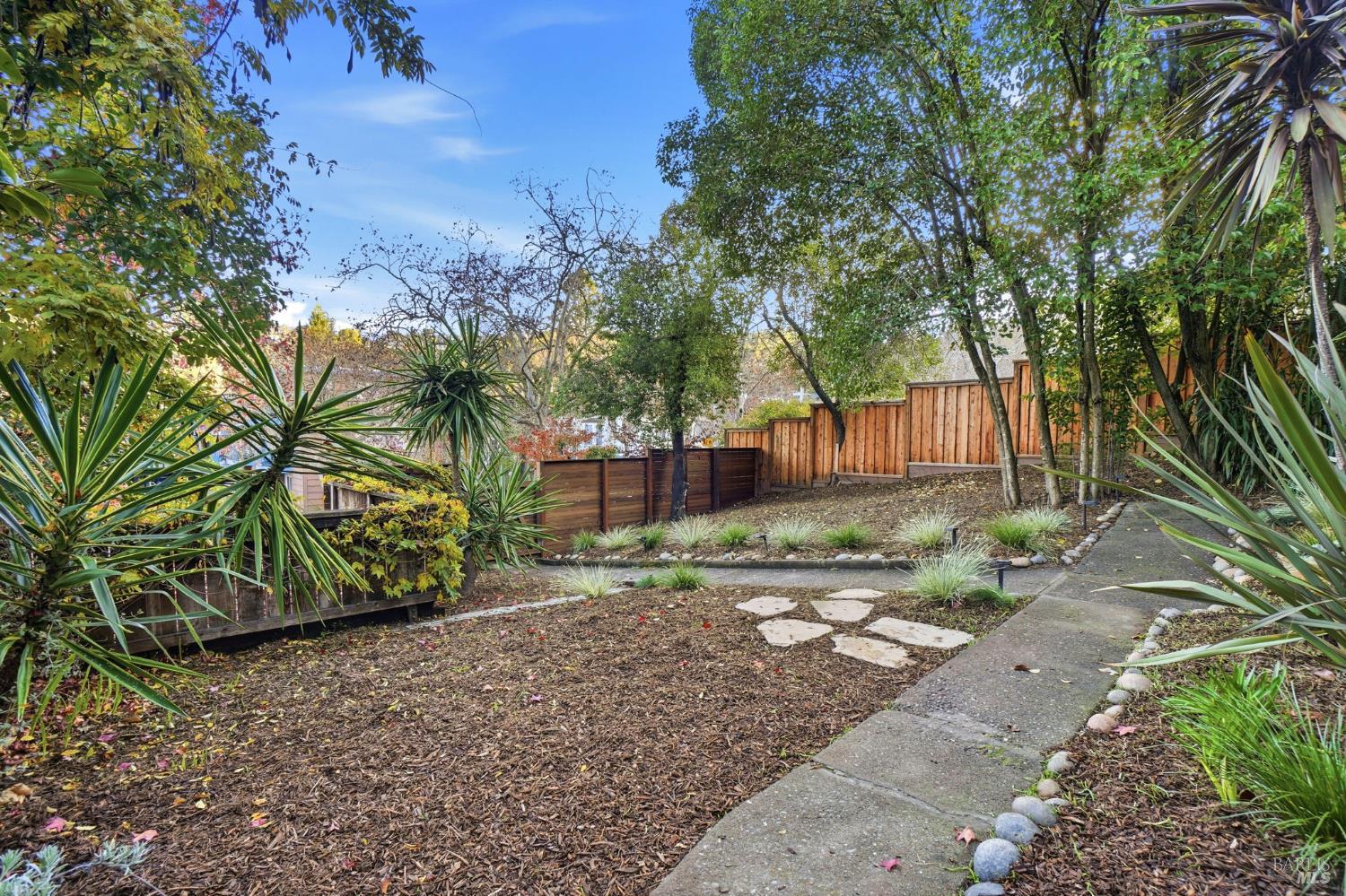221 D Street San Rafael, CA 94901 - Photo 7 of 56 Front yard