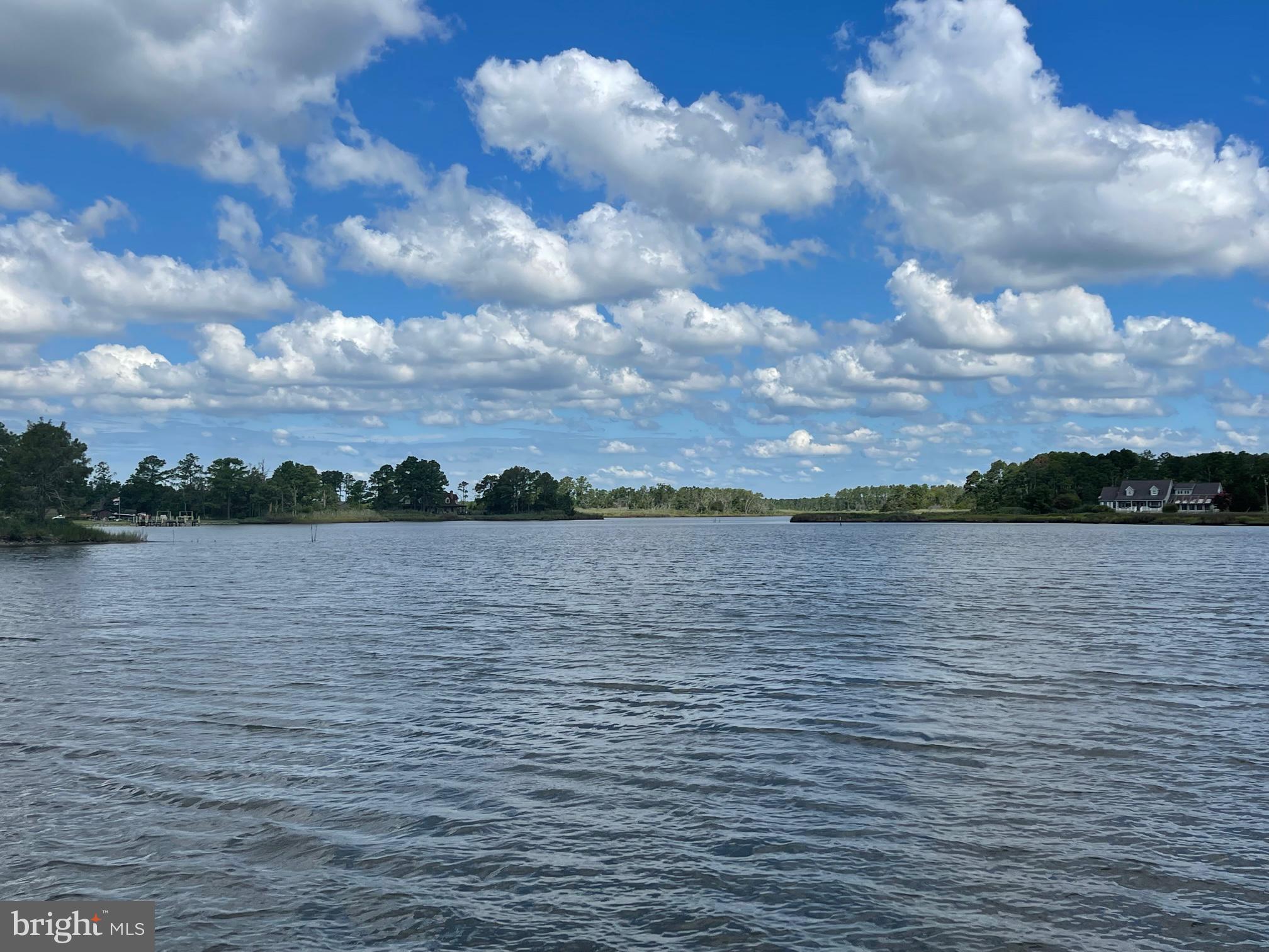 0 Annie Hyland Road Princess Anne, MD 21853 - Photo 4 of 5 a view of lake