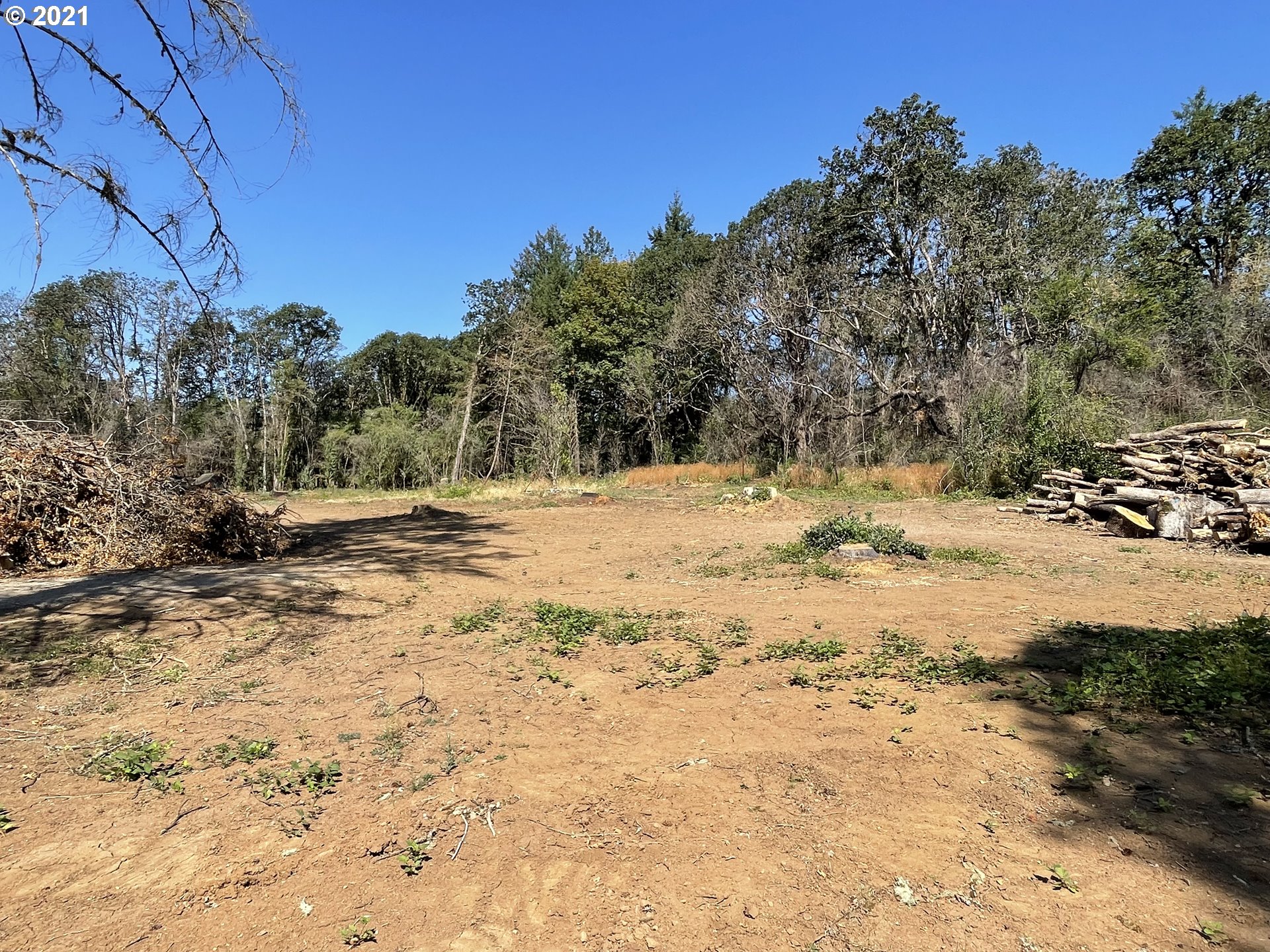 23155 North N Fork Lyons, OR 97358 - Photo 1 of 9 a view of dirt yard with a tree