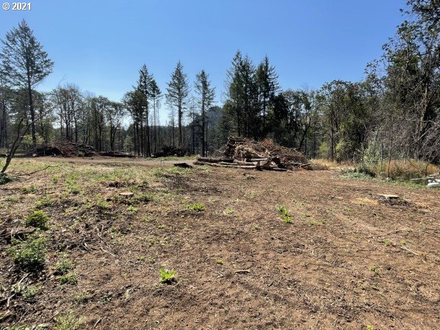 a view of a yard with a tree