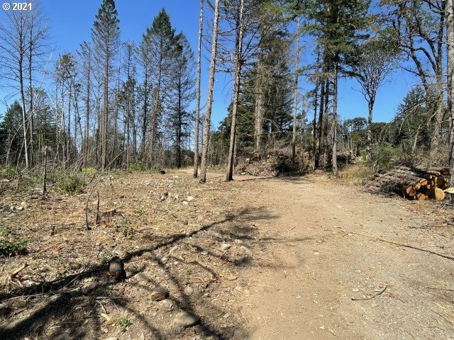 23155 North N Fork Lyons, OR 97358 - Photo 3 of 9 a view of covered with snow
