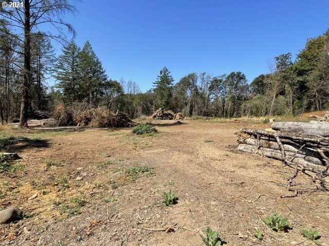 23155 North N Fork Lyons, OR 97358 - Photo 4 of 9 a view of dirt yard with a large tree