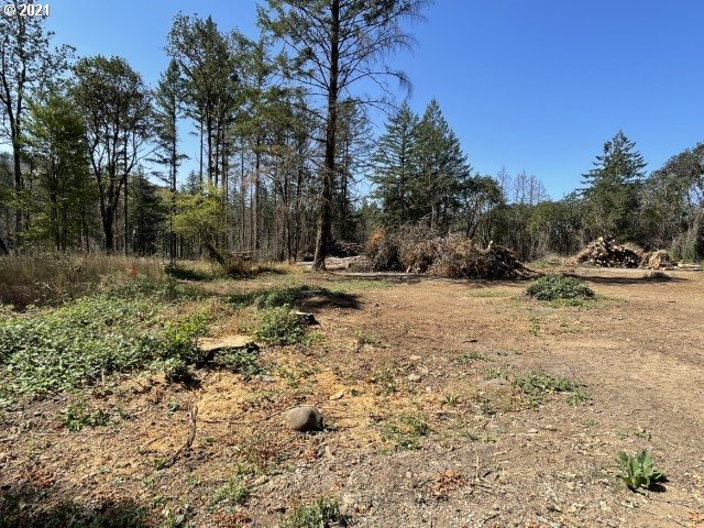 23155 North N Fork Lyons, OR 97358 - Photo 5 of 9 a view of outdoor space with trees