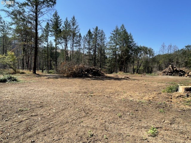 23155 North N Fork Lyons, OR 97358 - Photo 6 of 9 a view of outdoor space with trees