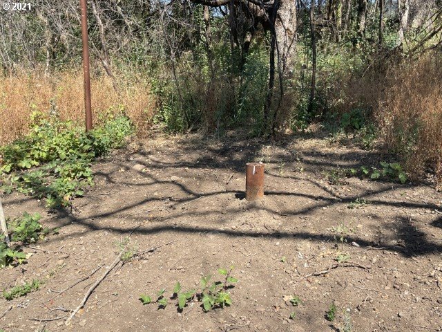 23155 North N Fork Lyons, OR 97358 - Photo 8 of 9 a view of a yard with trees