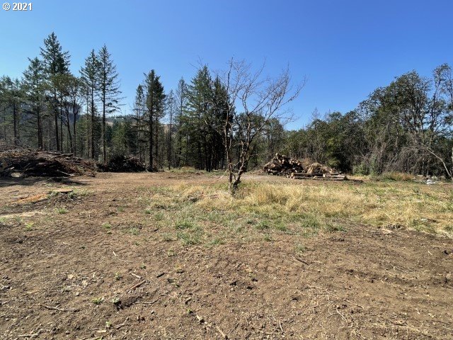 a view of a yard with trees in the background