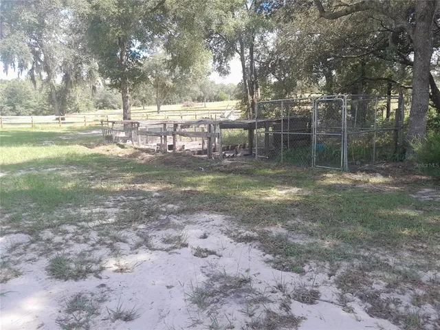 a view of a yard with trees in the background
