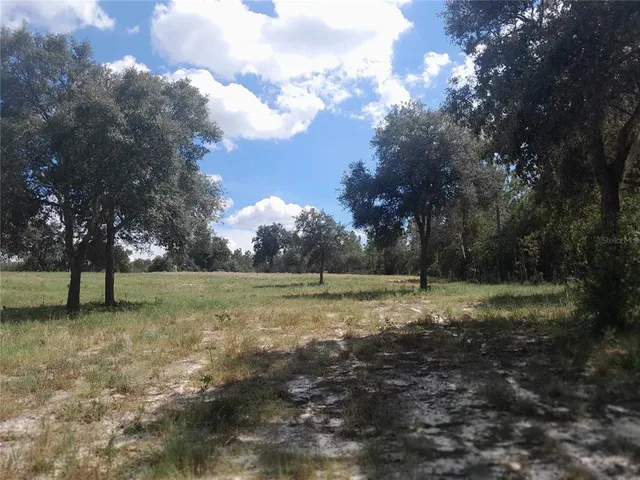 a view of dirt yard with trees