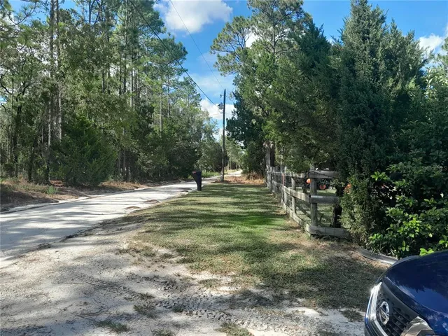 a view of a park with large trees