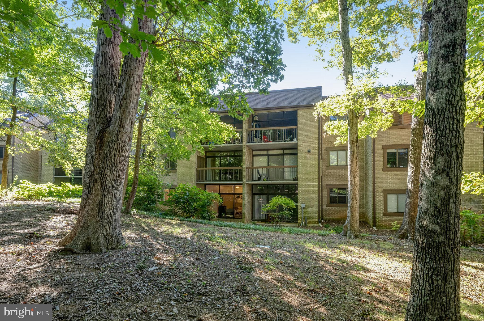 1650 Parkcrest Circle, Unit 101 Reston, VA 20190 - Photo 27 of 40 Like living in your own forrest