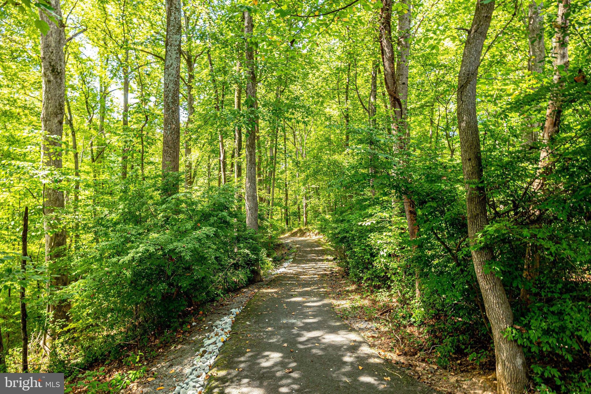 1650 Parkcrest Circle, Unit 101 Reston, VA 20190 - Photo 32 of 40 Trails surround Bentana Park
