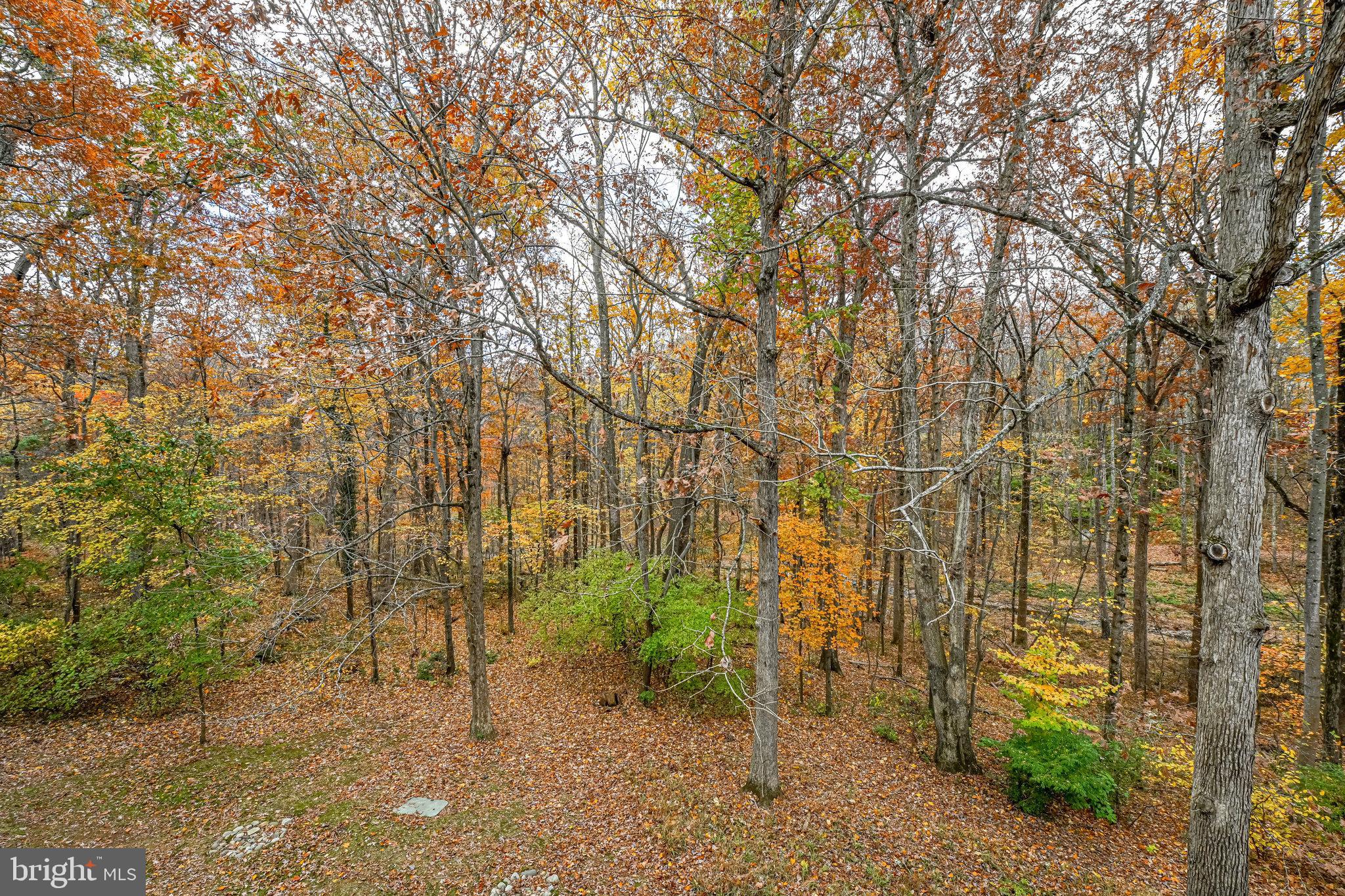 1650 Parkcrest Circle, Unit 101 Reston, VA 20190 - Photo 35 of 40