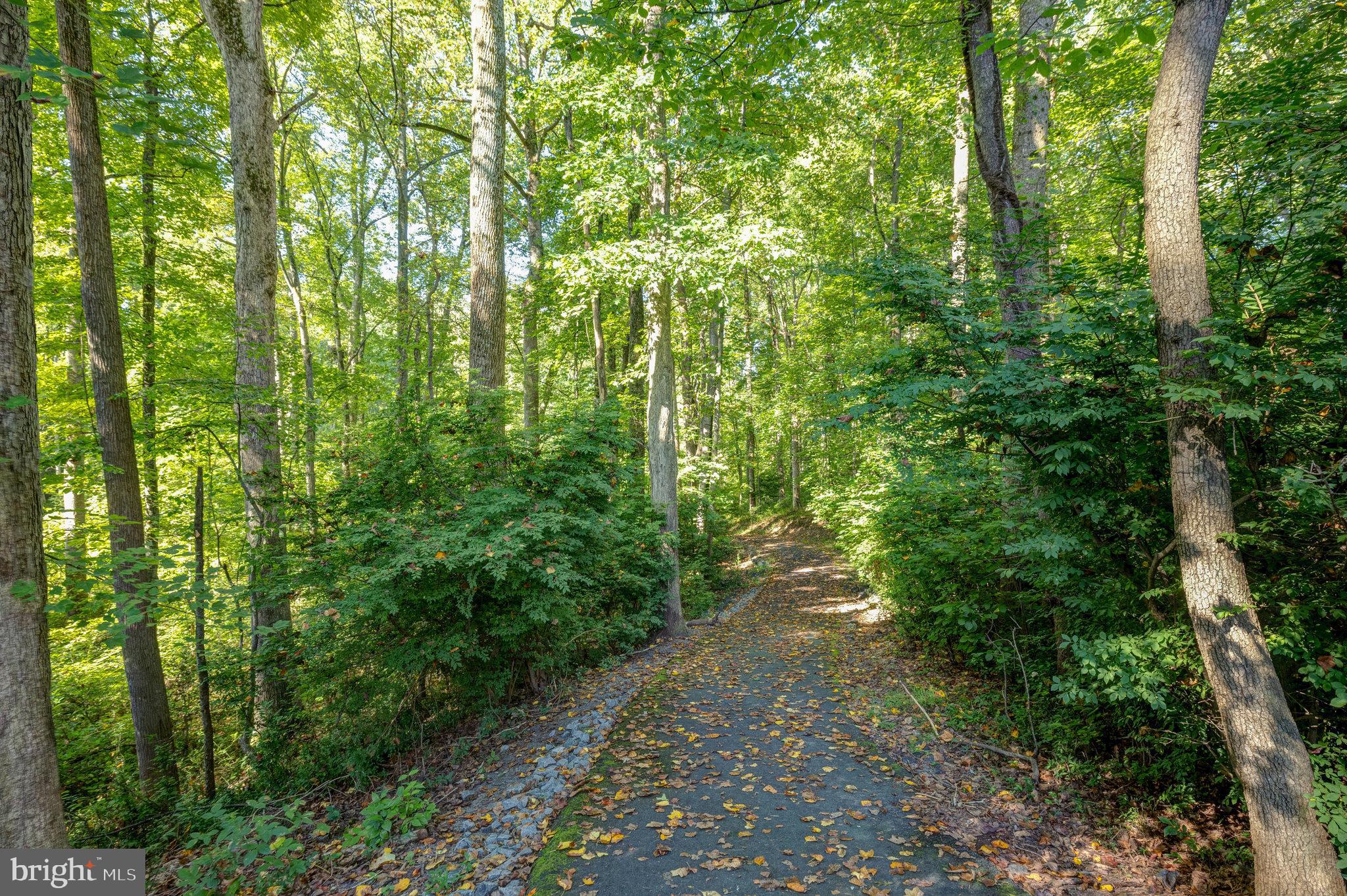 1650 Parkcrest Circle, Unit 101 Reston, VA 20190 - Photo 36 of 40