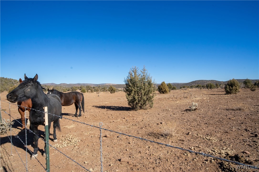 792 Knight Creek Road Kingman, AZ 86401 - Photo 42 of 76 Other