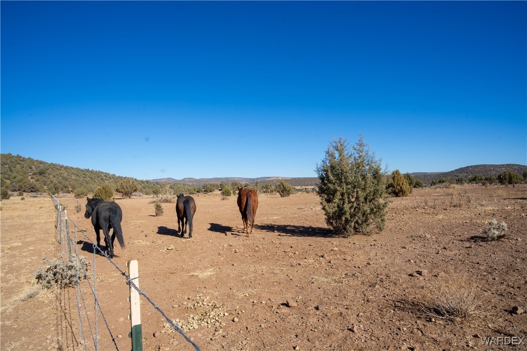 792 Knight Creek Road Kingman, AZ 86401 - Photo 43 of 76 Other