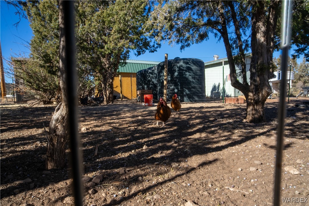 792 Knight Creek Road Kingman, AZ 86401 - Photo 55 of 76 Yard