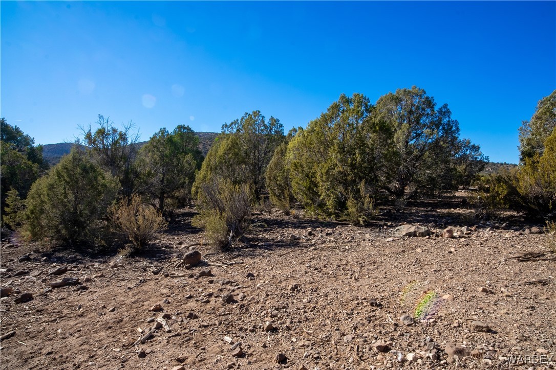 792 Knight Creek Road Kingman, AZ 86401 - Photo 56 of 76 Other