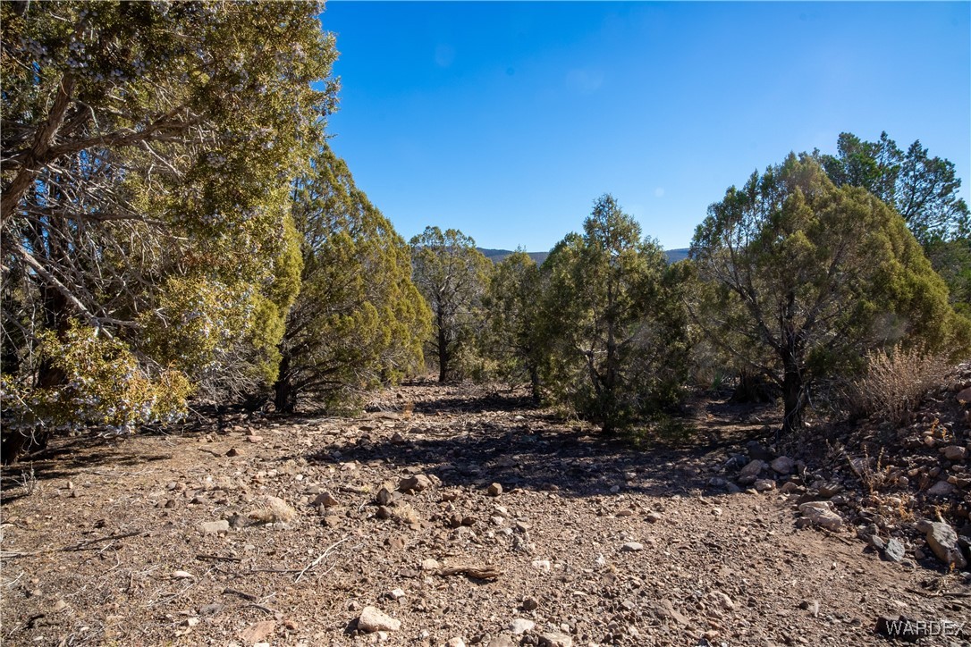 792 Knight Creek Road Kingman, AZ 86401 - Photo 57 of 76 Other