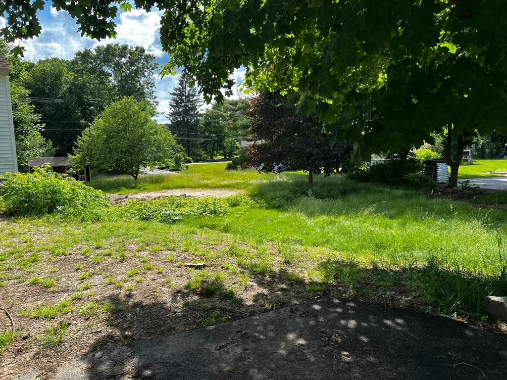 16 Grist Mill Road Grafton, MA 01519 - Photo 16 of 16 a view of a trees with a yard