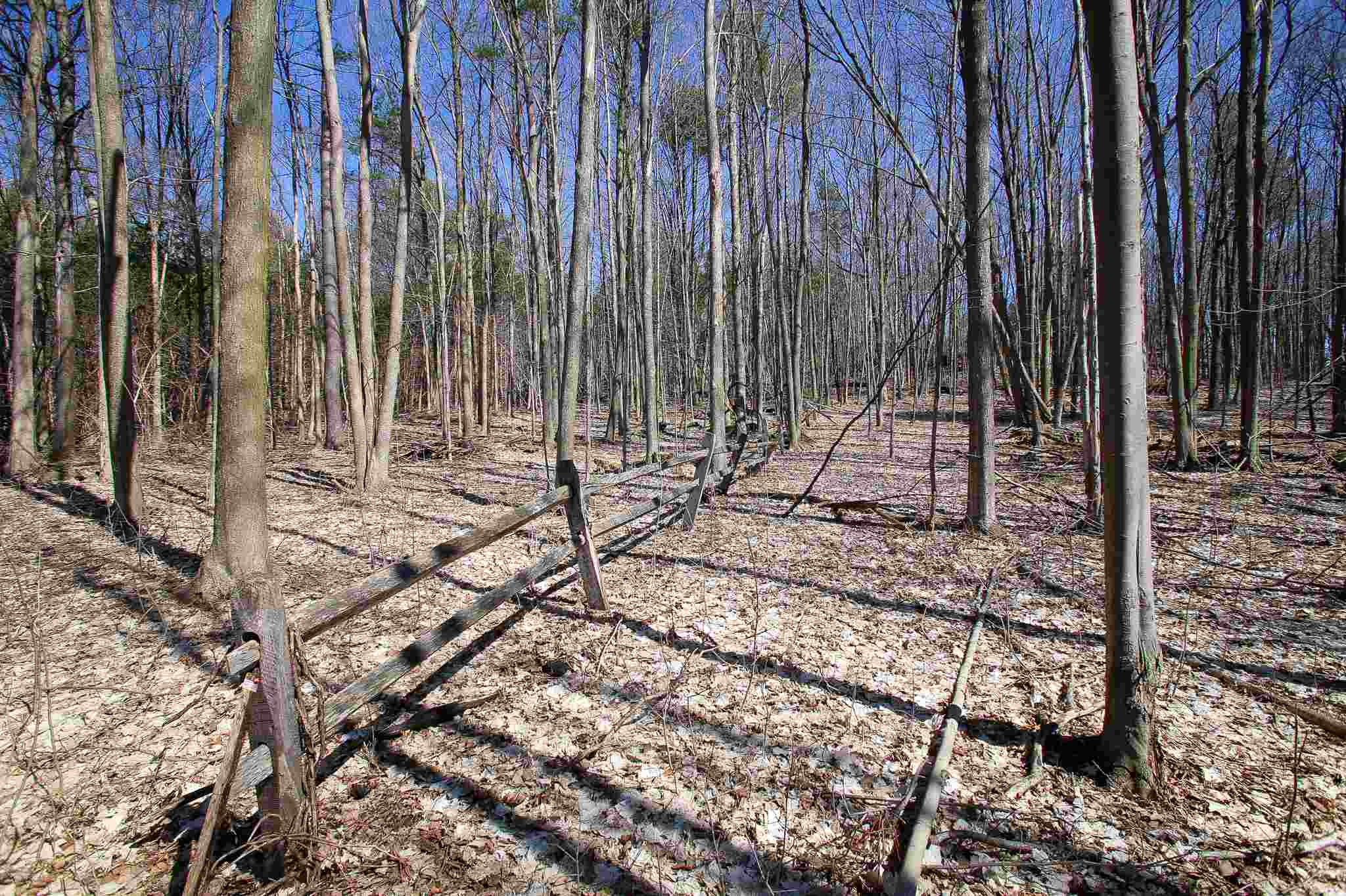 173 St Albans Road, Unit 3 Swanton, VT 05488 - Photo 8 of 40