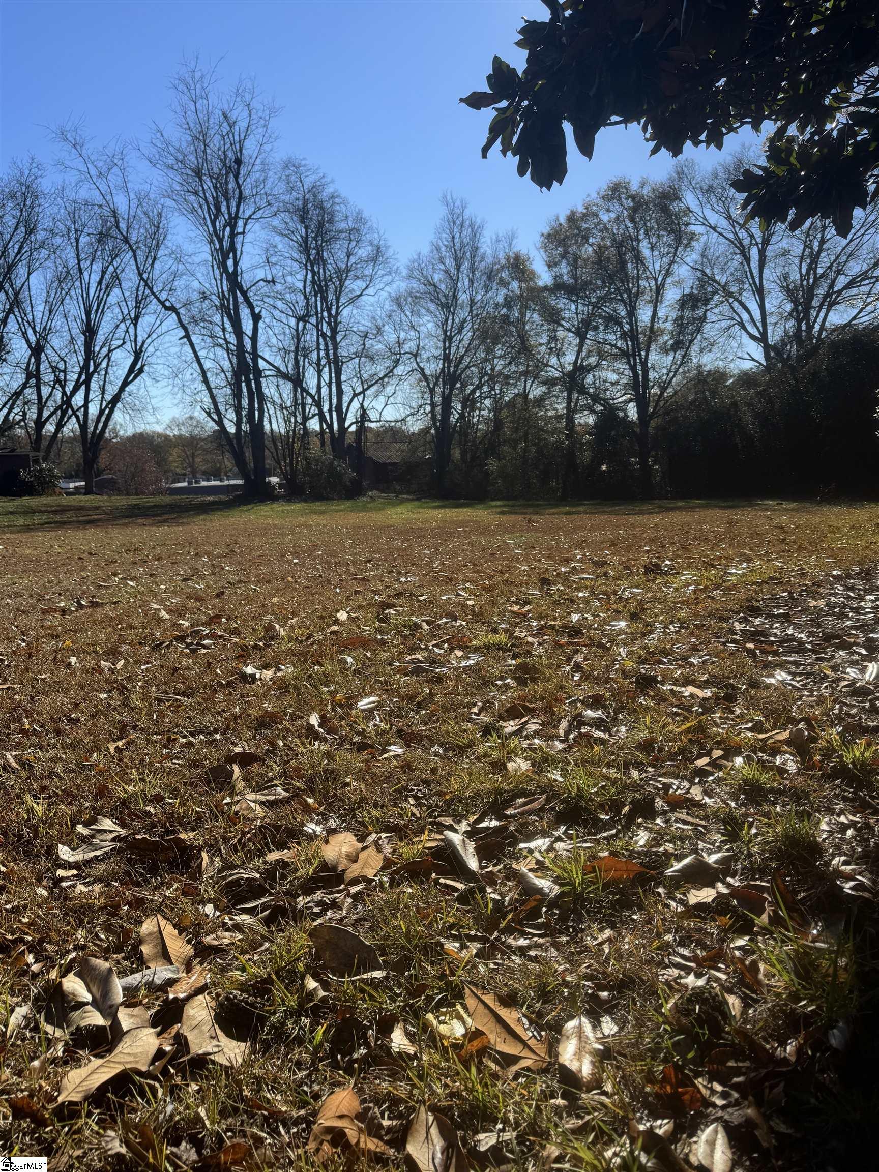 0 Old Cedar Rock Road Easley, SC 29640 - Photo 1 of 6