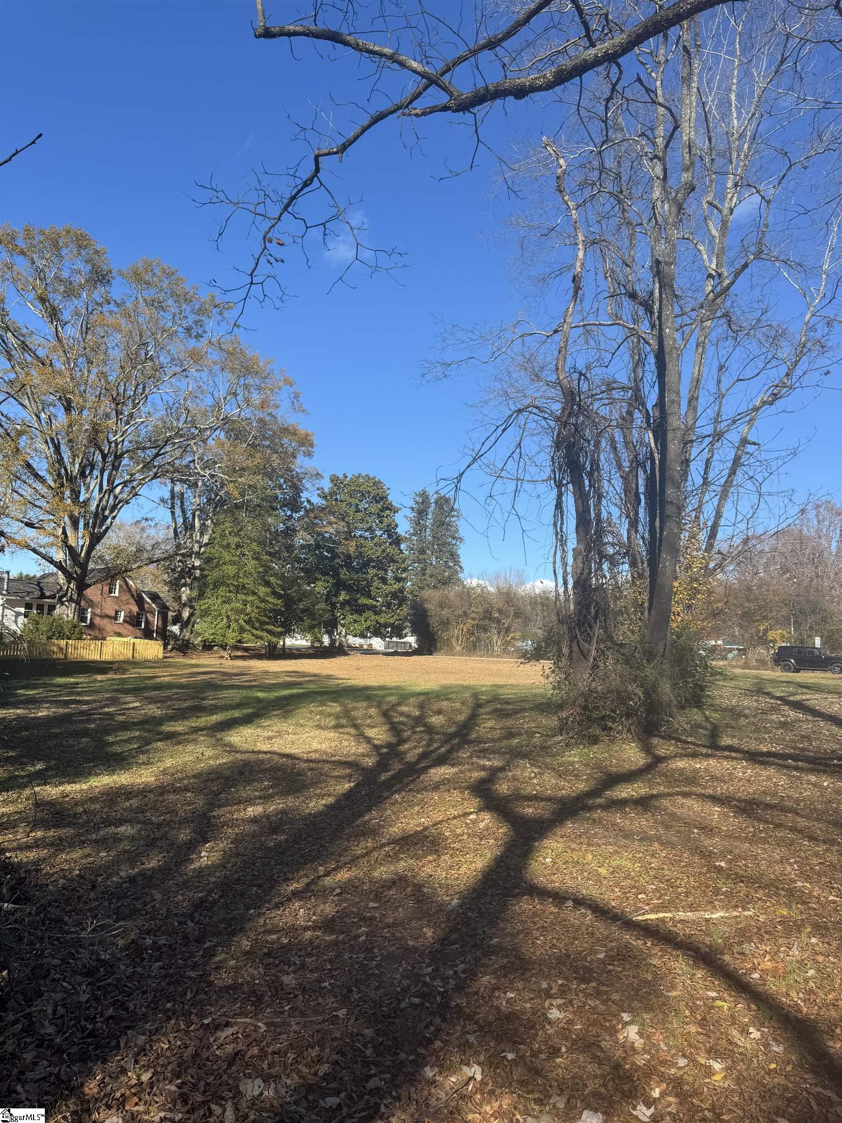 0 Old Cedar Rock Road Easley, SC 29640 - Photo 3 of 6