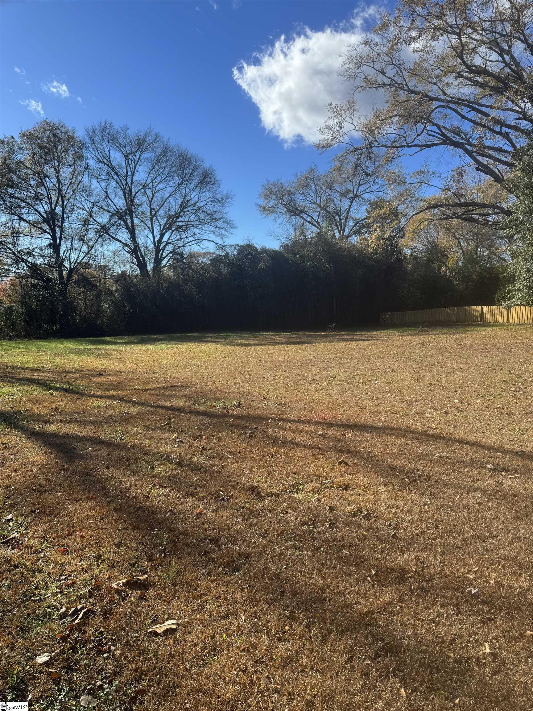 0 Old Cedar Rock Road Easley, SC 29640 - Photo 4 of 6