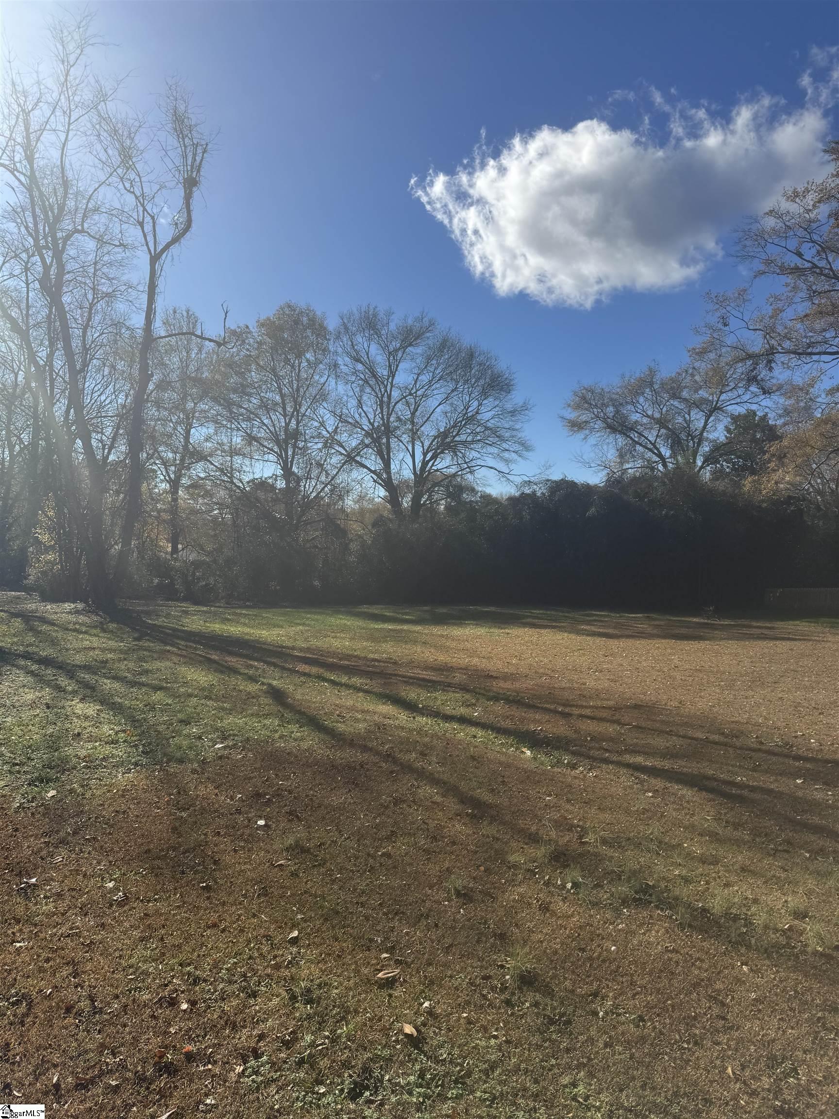 0 Old Cedar Rock Road Easley, SC 29640 - Photo 5 of 6