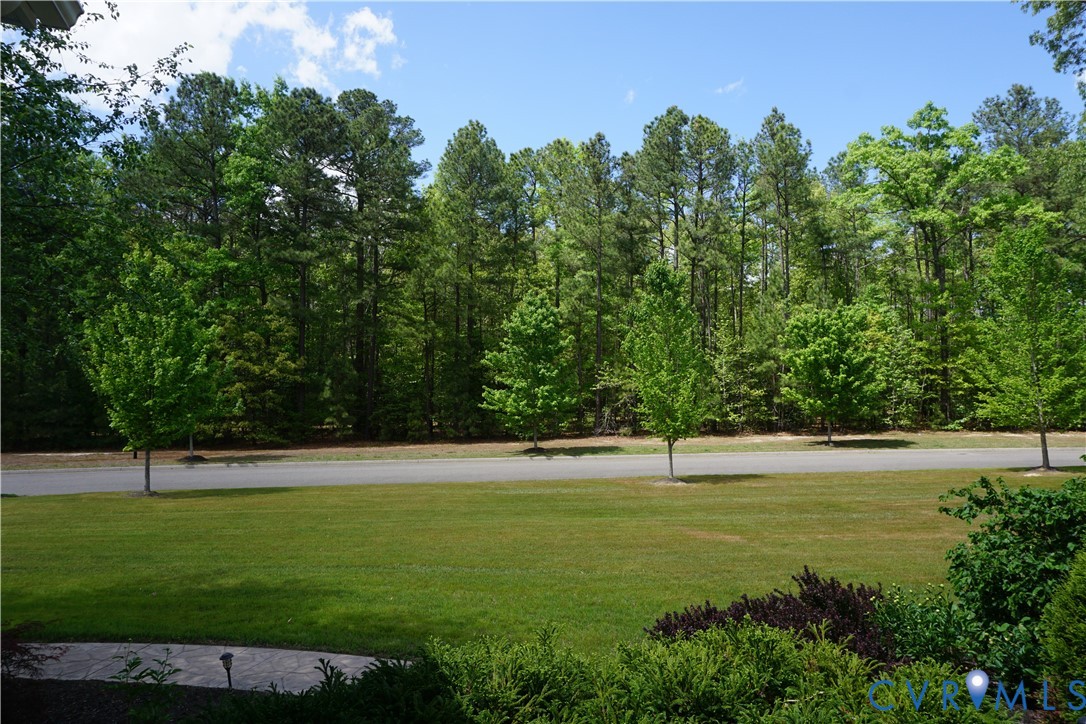 705 Wales Way Ashland, VA 23005 - Photo 11 of 62 a view of outdoor space with garden and trees
