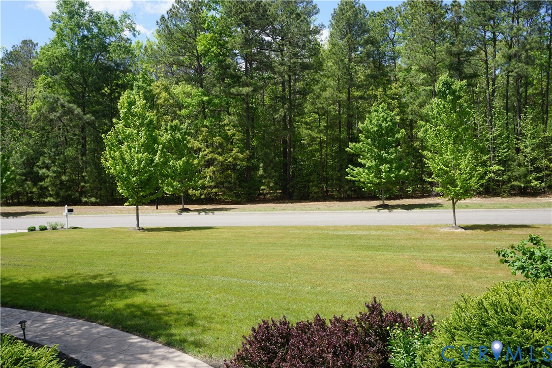 705 Wales Way Ashland, VA 23005 - Photo 12 of 62 a view of a swimming pool and trees