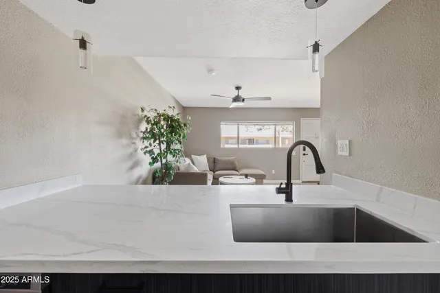 a kitchen with a sink and a potted plant