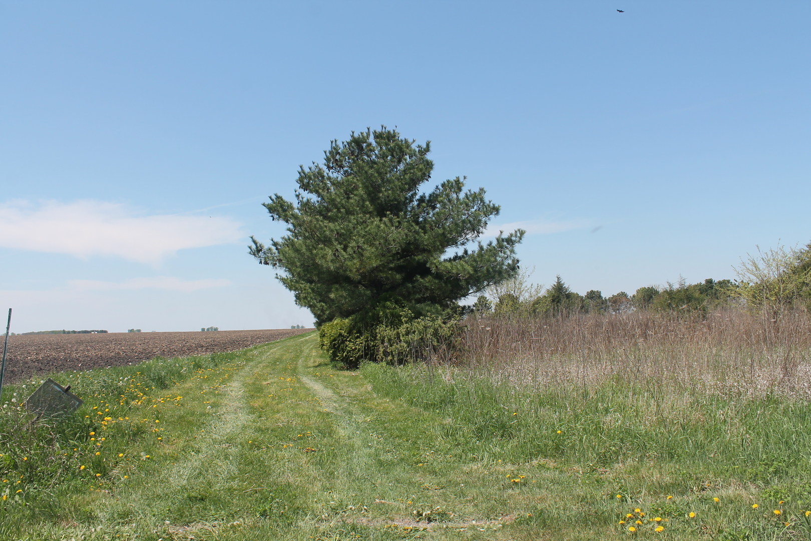 3551 East 18th Road Ottawa, IL 61350 - Photo 2 of 6
