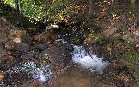 3 Buck Creek Crossing Blue Ridge, GA 30513 - Photo 1 of 1 Main View